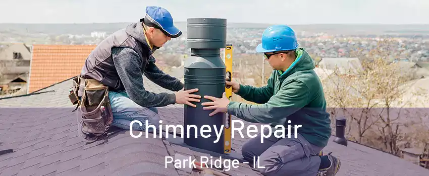  Chimney Repair Park Ridge - IL