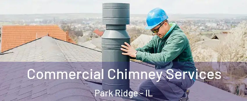  Commercial Chimney Services Park Ridge - IL