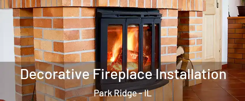  Decorative Fireplace Installation Park Ridge - IL