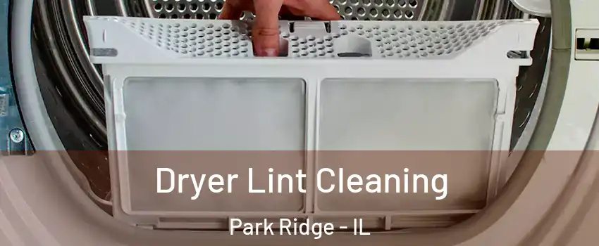  Dryer Lint Cleaning Park Ridge - IL