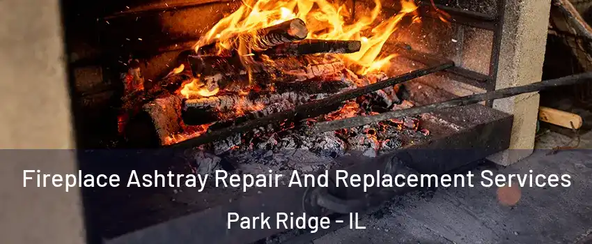  Fireplace Ashtray Repair And Replacement Services Park Ridge - IL