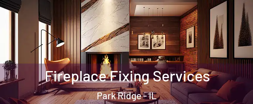  Fireplace Fixing Services Park Ridge - IL