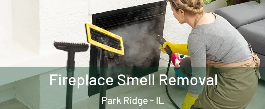  Fireplace Smell Removal Park Ridge - IL