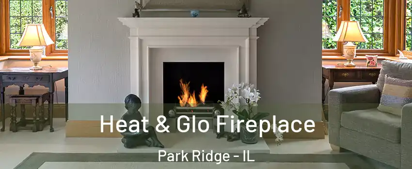  Heat & Glo Fireplace Park Ridge - IL