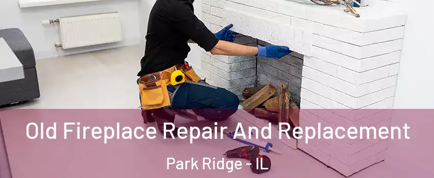  Old Fireplace Repair And Replacement Park Ridge - IL