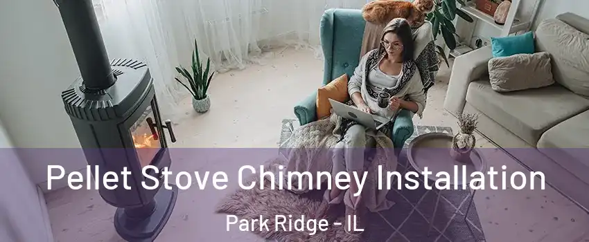  Pellet Stove Chimney Installation Park Ridge - IL