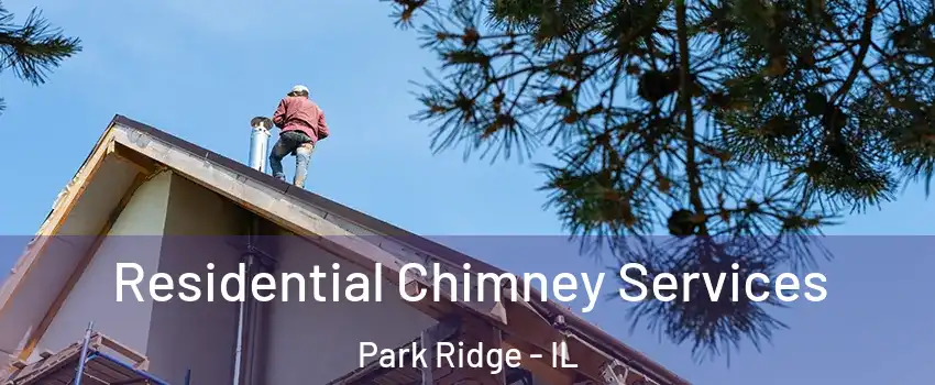  Residential Chimney Services Park Ridge - IL