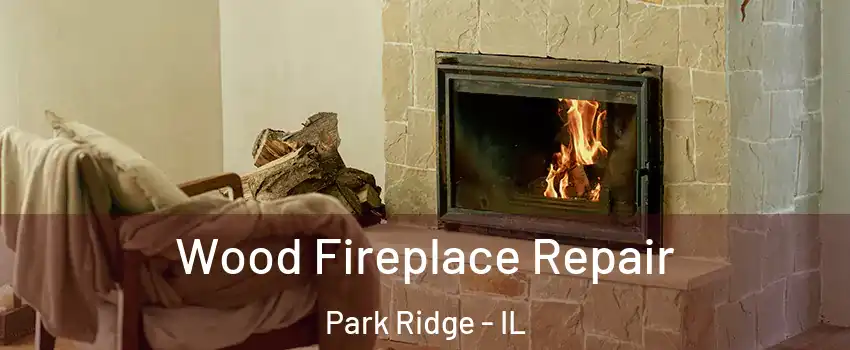  Wood Fireplace Repair Park Ridge - IL