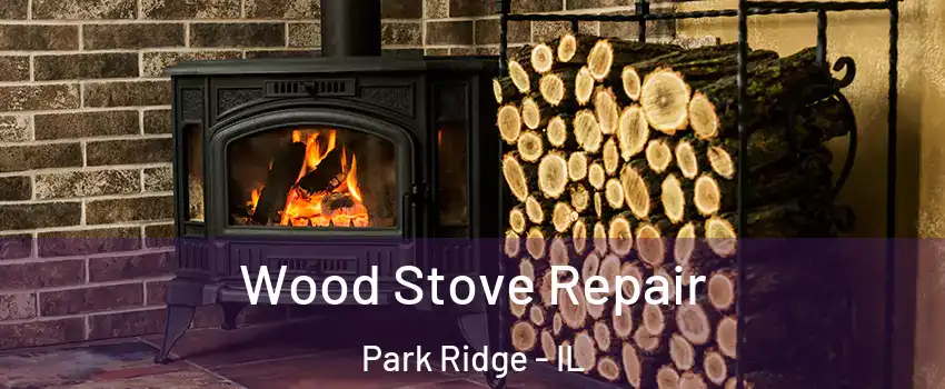  Wood Stove Repair Park Ridge - IL